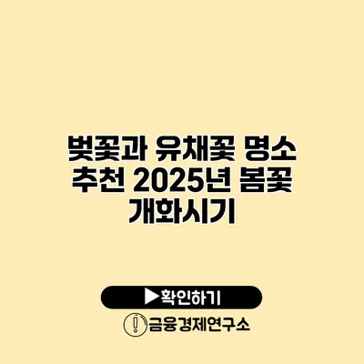 벚꽃과 유채꽃 명소 추천 2025년 봄꽃 개화시기