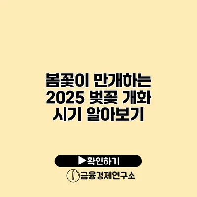 봄꽃이 만개하는 2025 벚꽃 개화 시기 알아보기