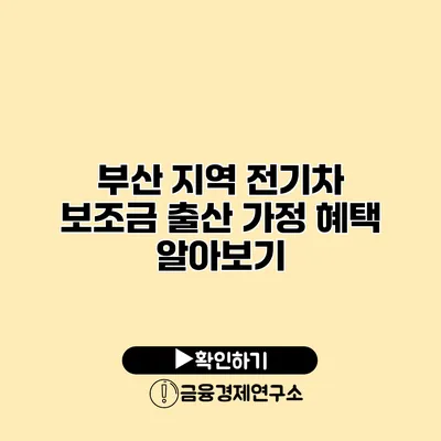 부산 지역 전기차 보조금 출산 가정 혜택 알아보기