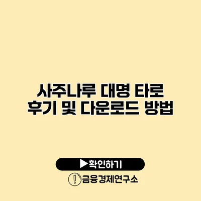 사주나루 대명 타로 후기 및 다운로드 방법
