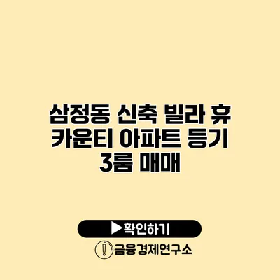 삼정동 신축 빌라 휴 카운티 아파트 등기 3룸 매매