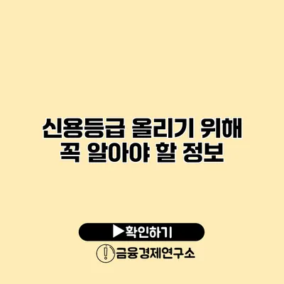 신용등급 올리기 위해 꼭 알아야 할 정보