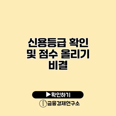 신용등급 확인 및 점수 올리기 비결