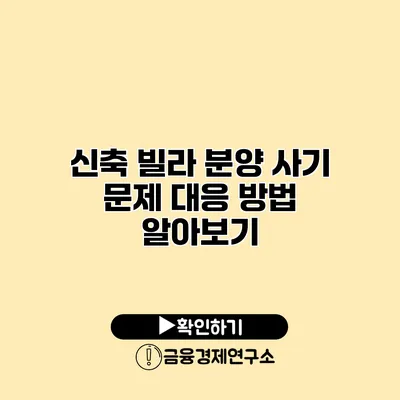 신축 빌라 분양 사기 문제 대응 방법 알아보기