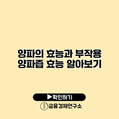 양파의 효능과 부작용 양파즙 효능 알아보기