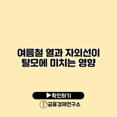 여름철 열과 자외선이 탈모에 미치는 영향