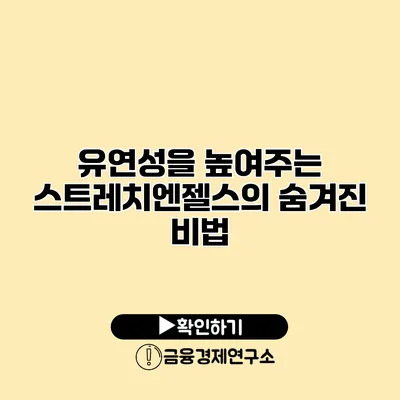 유연성을 높여주는 스트레치엔젤스의 숨겨진 비법