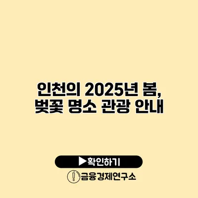 인천의 2025년 봄, 벚꽃 명소 관광 안내