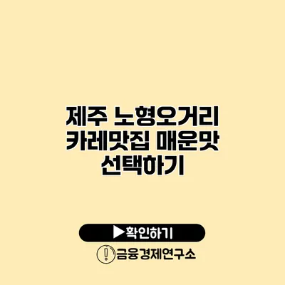 제주 노형오거리 카레맛집 매운맛 선택하기