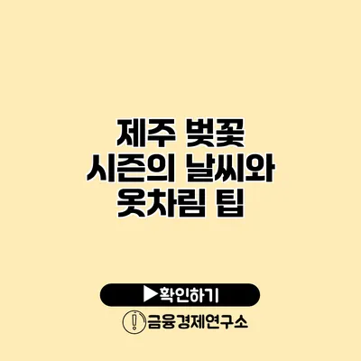 제주 벚꽃 시즌의 날씨와 옷차림 팁