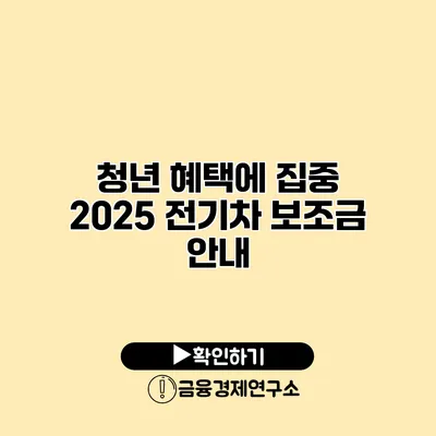 청년 혜택에 집중 2025 전기차 보조금 안내