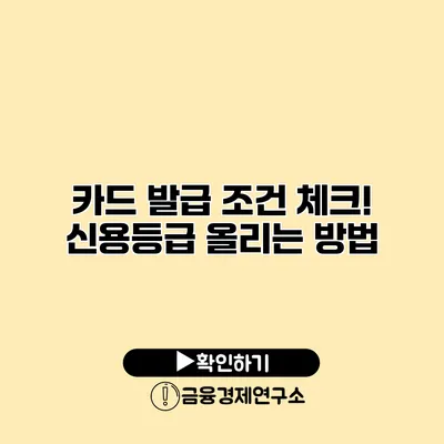 카드 발급 조건 체크! 신용등급 올리는 방법