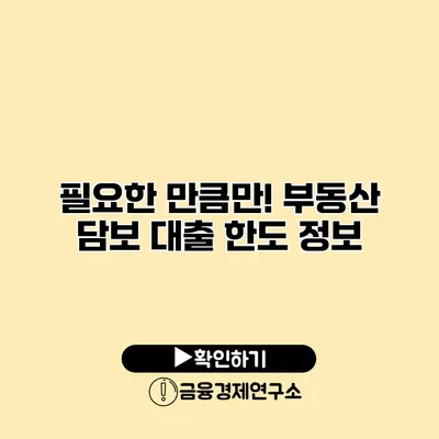 필요한 만큼만! 부동산 담보 대출 한도 정보