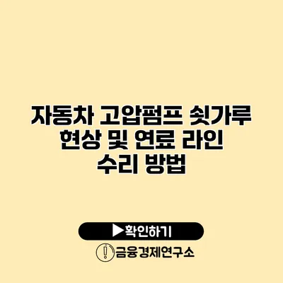 자동차 고압펌프 쇳가루 현상 및 연료 라인 수리 방법