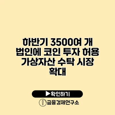 하반기 3500여 개 법인에 코인 투자 허용 가상자산 수탁 시장 확대
